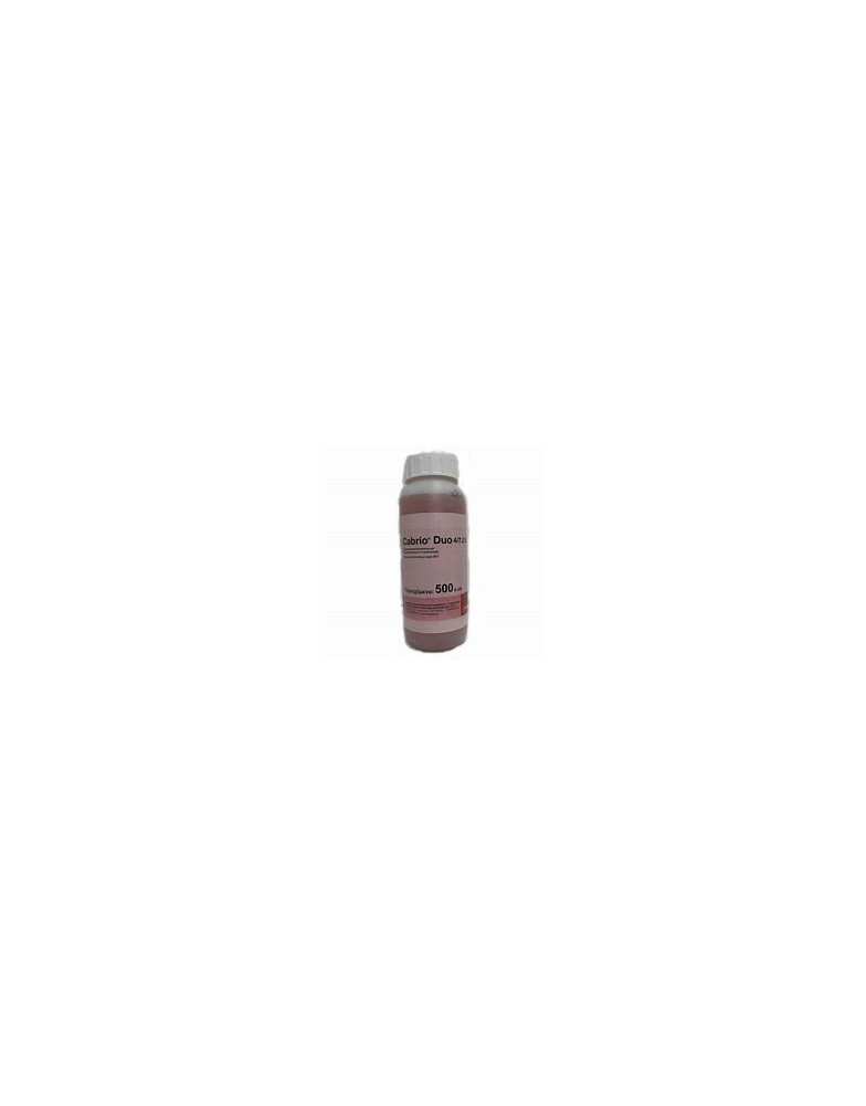 PREVICUR ENERGY SL 500cc